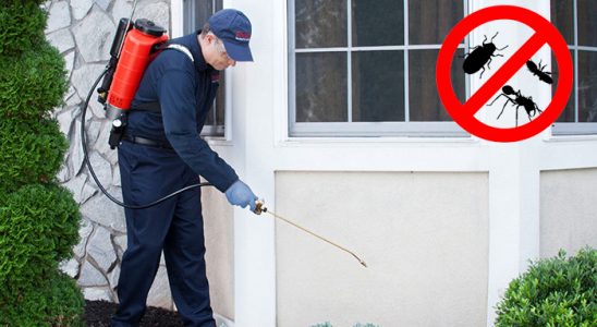 Canik Böcek ve Haşere İlaçlama böcek ilaçlama ve haşere kontrolü — ilaclama-tr.com